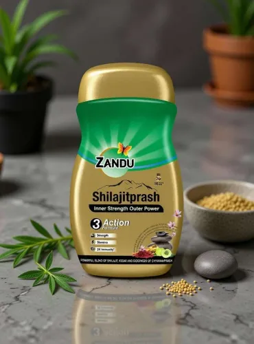 Image of ZANDU Shilajitprash