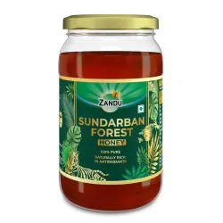 Zandu Sundarban Forest Honey 500g