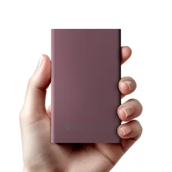 ZEBRONICS EnergiTank 10MR1 10000mAh Power Bank (Raspberry)