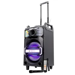 Zebronics Octane Trolley Party DJ Speaker