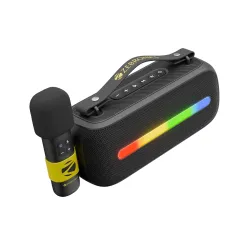 ZEBRONICS Sound Feast 80, Portable Bluetooth Speaker