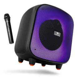 ZEBRONICS Sound Feast 800,Portable Party Bluetooth Speaker,55 Watts,6 Hours Playback,6.5 inch Powerful Driver,Wireless M