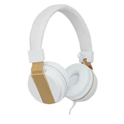 ZEBRONICS Storm Wired On Ear Headphone