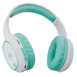 Zebronics Thunder (2026 Upgrade) Wireless Headphones, BTv6.0, True 60 Hrs Playback at 100% Volume(Upto 100 Hrs at 50%), 