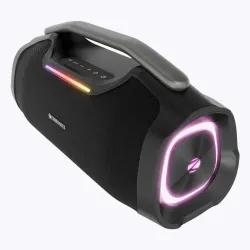 ZEBRONICS Zeb Sound Feast 450 50 W Bluetooth Party Speaker