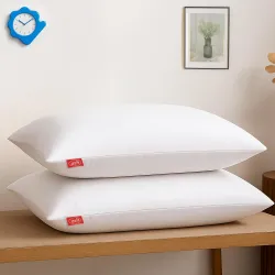 Zinnia Comfort Soft Microfiber Pillow (41x61cm Pack of 2)