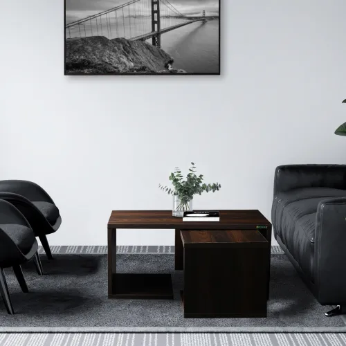 Image of Zuari Brisbane Engineered Wood Coffee Table