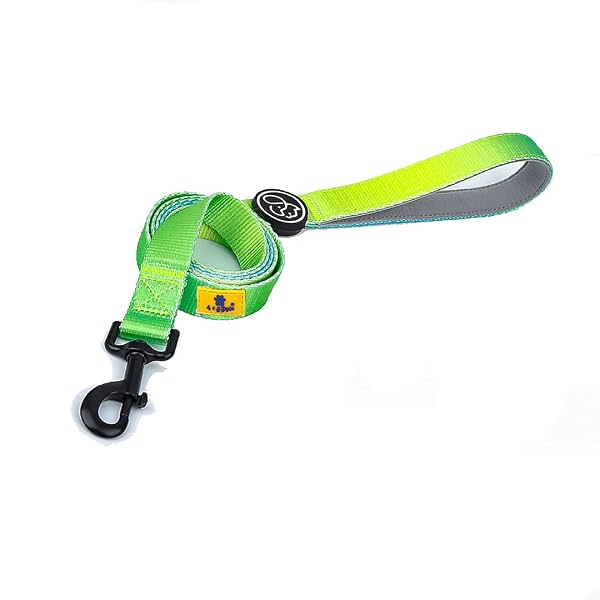 A+a Pets' Nylon Waterproof Leash | Neoprene Padded Handle