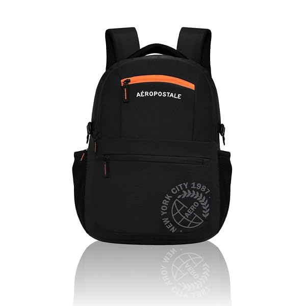 Aeropostale Backpack Basin Laptop Backpack with Rain