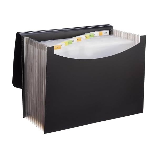 Amazon Basics 13-Pocket Expanding File Folder