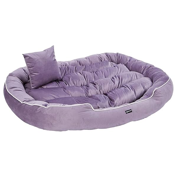 Amazon Basics Polyester XXL Pet Bed with Cushion Suitable for Multiple Pets