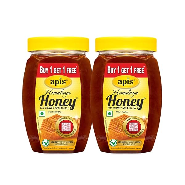 Apis Himalaya Honey, 500g (Pack of 2) | Pure and Natural Himalayan Honey