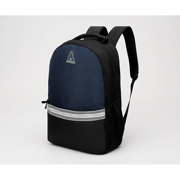Aristocrat Blake 18L Laptop Backpack (Upto 15.6\'),2 Compartments,Blue-Black
