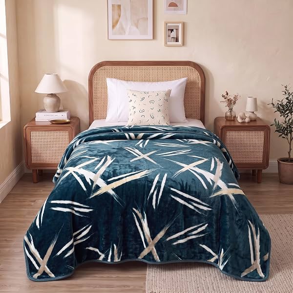 BSB HOME Single Bed Mink Blanket, Velvet Like Soft Plush Fleece Blanket,