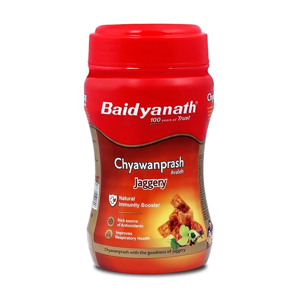 Baidyanath Ayurved Jaggery Chyawanprash 750gm (Pack of 1)