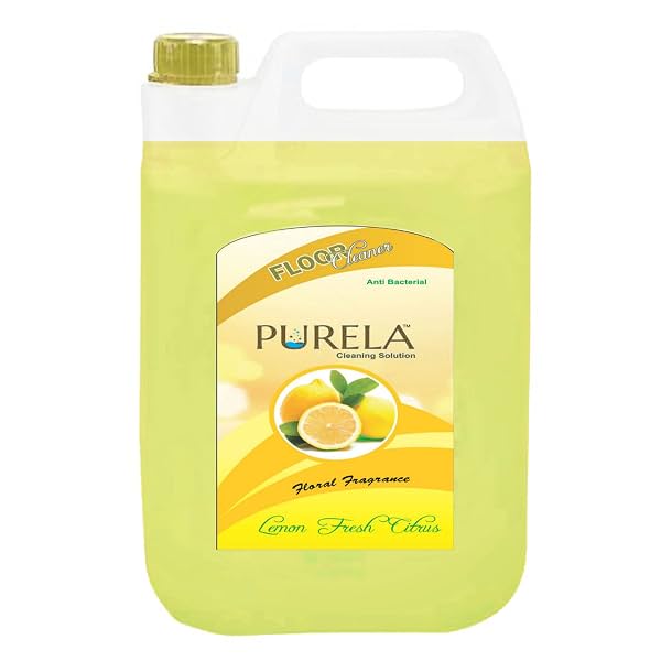 Bathroom Surface Cleaning Liquid, Disinfectant & Insect Repellent, Lemon, 5L