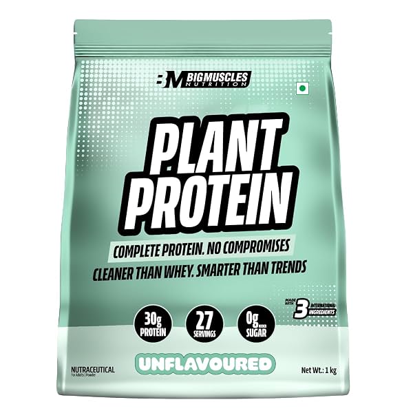 Bigmuscles Nutrition Clean Plant Protein 1kg