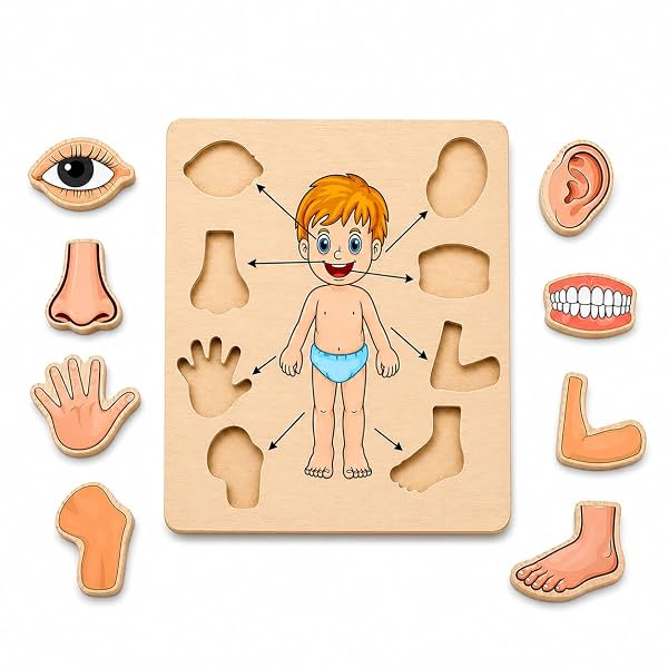 Body Part Puzzle Kids Wooden Toys for Kids 3 + Jigsaw Puzzles for Adults Baby