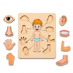 Body Part Puzzle Kids Wooden Toys for Kids 3 + Jigsaw Puzzles for Adults Baby