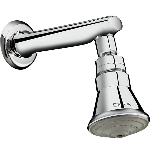 Cera 2.5-inch Over Head Shower with Revolving Joint and Arm (Stainless Steel)