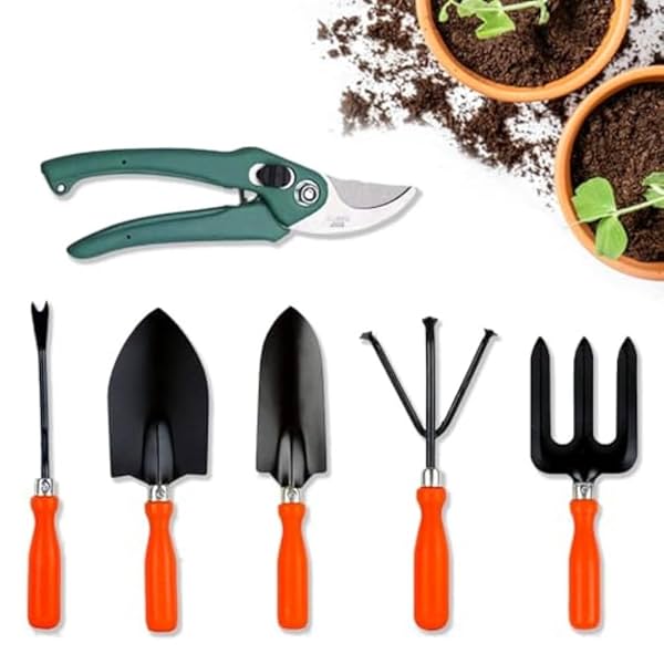 Cinagro Garden Tools Kit (Set of 6) for Home Garden