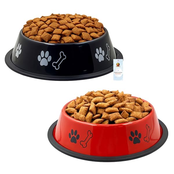 Foodie Puppies Stainless Steel Dog Bowl Combo