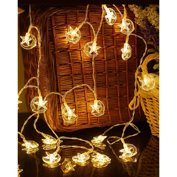 Homesake® 20-Led Fairy Lights for Decorations