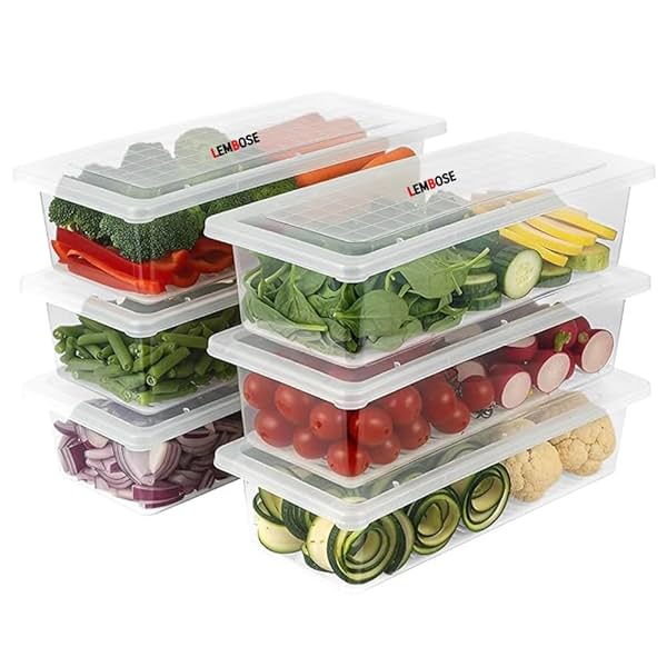 LEMBOSE Fridge Storage Refrigerator Container (Pack-of-6)