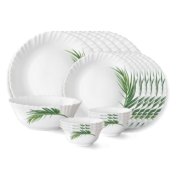 Larah by Borosil Series Opalware Dinner Set 19 Pieces for Family of 6