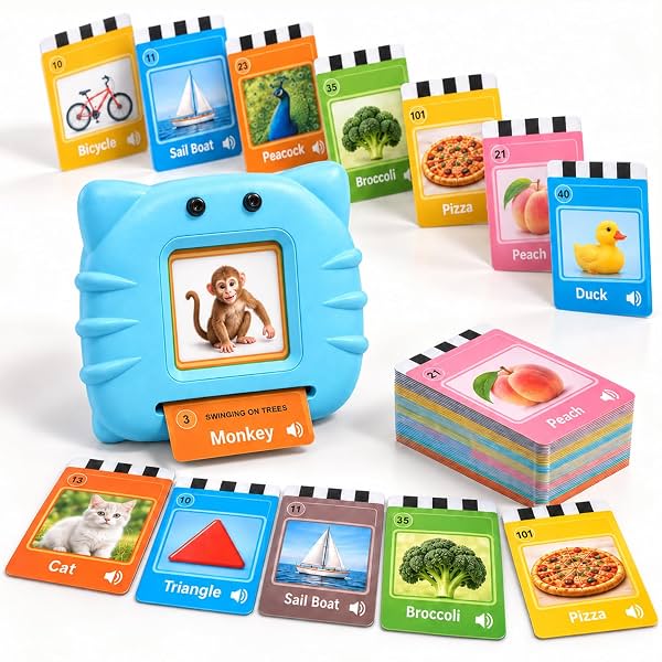 Lifelong Talking Flash Cards with 122 Dual Side Audio Cards & Type C Rechargeable Device