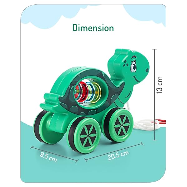Mini Steps Pull Along Turtle Toy