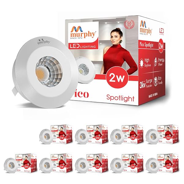 Murphy 2 Watts Round LED Spotlight (PO10)