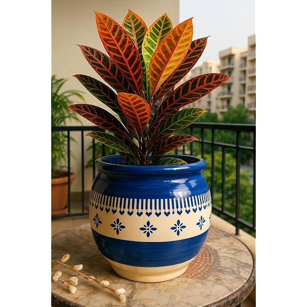 Niyara Ceramic planters pots for Indoor Outdoor Home