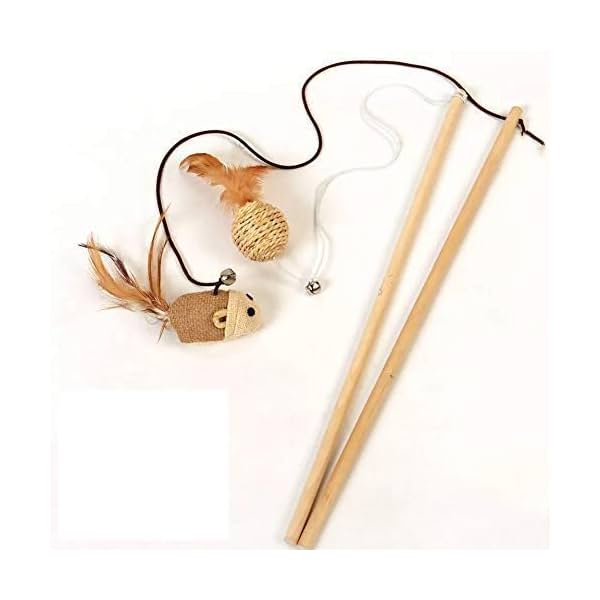 PSK PET MART Cat Teaser Playing Stick & Feather Interactive Teasing Wand Toy with Rod Length 40 cm, Rope Length 67cm (Mo