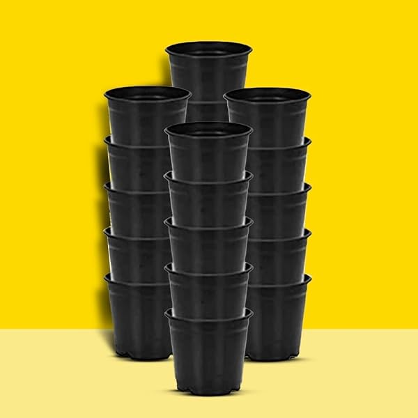 Plastic Flower Pots Pack 10