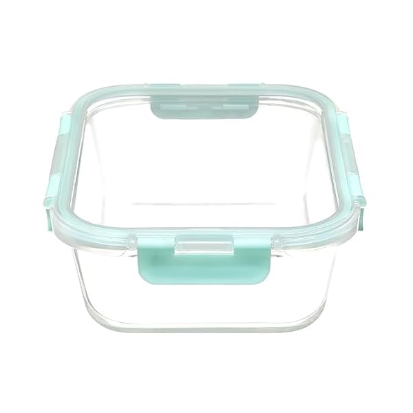 SIMPARTE 370ml Rectangular Borosilicate Container