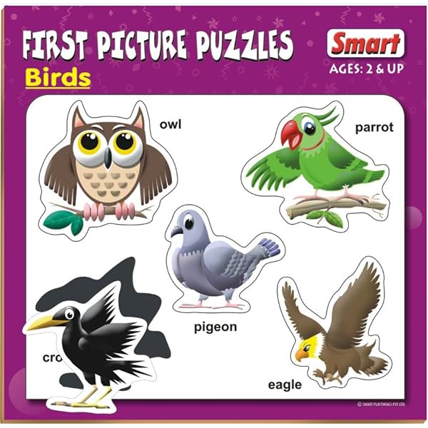 Smart First Picture Puzzles Birds 5 Chunky Pieces