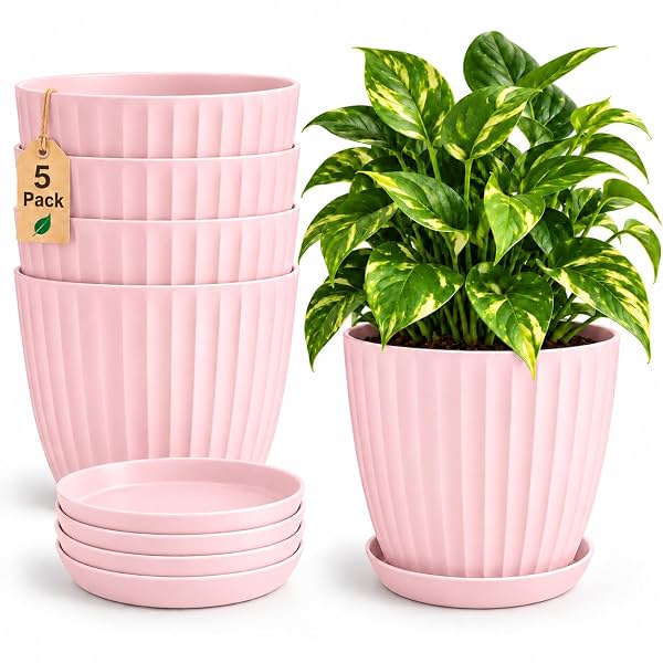 StyleX Store Plastic Round Flower Pots With Drainage Hole Saucers