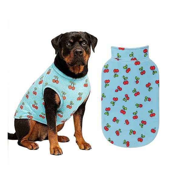 The Pets Company Dog Winter Coat Jacket, Clothes, Windproof, Light Weight, Washable, Ultra Warm Thick Fleece Lined Dog V