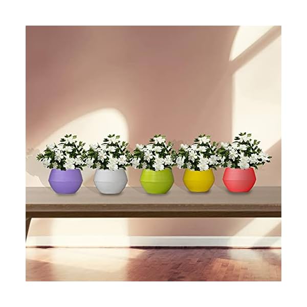 TrustBasket Adam Self-Watering Pots, Set of 5