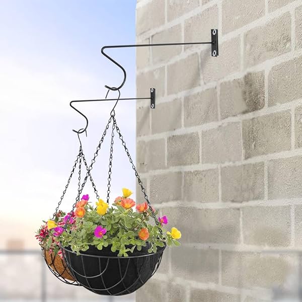 TrustBasket Angus Wall Bracket for Hanging (Pack of 5) 