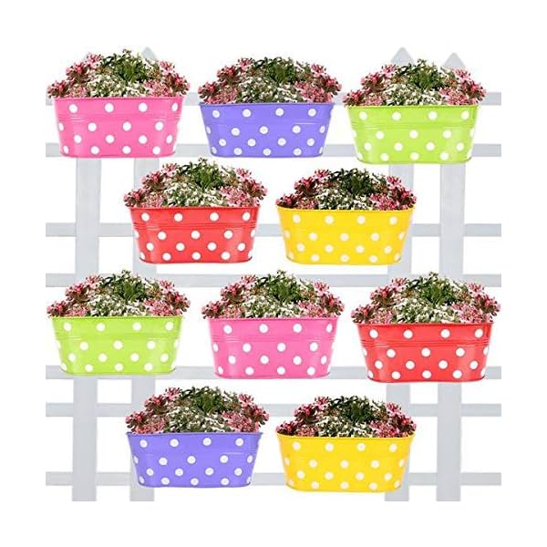 TrustBasket Dotted Oval Railing Planters (Magenta, Purple, Green, Red, Yellow)
