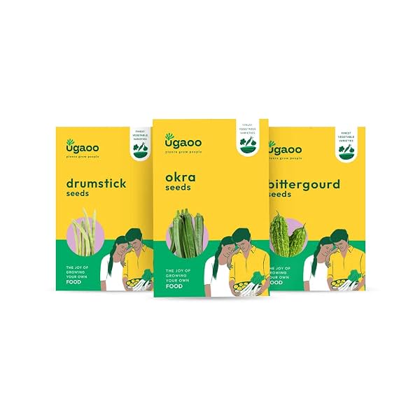 UGAOO Vegetable Seeds Combo Pack for Home Garden