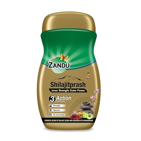 Zandu Shilajitprash 450g