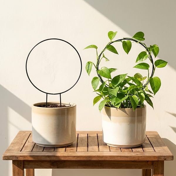 ecofynd Metal Garden Trellis for Climbing Plants
